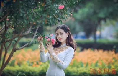 换互换A片爽电影